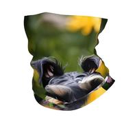 kurue Schnauzer Multi-Functional Sports Neck Gaiter - Ice Cooling, Face Mask & More | Essential Summer Accessory