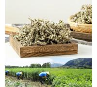 KUSRUP Wild, Three-Year-Old Pure Dried Mugwort Leaves (Stem-Free), Artemisia argyi Leaf Suitable for Foot soaks, Baths, air Purification,and DIY Moxa Wool for Moxibustion (1.1lbs)