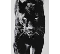 KUSTOM ART Decorative Wall Poster Black Panther Animals Series Art Print on Coated Paper 42 x 30 cm Without Frame