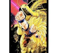 KUSTOM ART Decorative Wall Poster Manga and Anime Series Dragon Ball Z Film Wrath of the Dragon Goku Super Sayan 3 Print on Cardboard 40 x 30 cm Without Frame