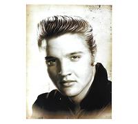 KUSTOM ART Elvis Presley Hollywood Famous Actors Series Wall Poster Unframed Art Print on Coated Paper 40 x 30 cm