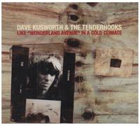 Kusworth, Dave - Like Wonderland Avenue In A Cold Climate
