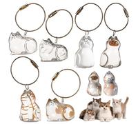 KutaKuta Cat Hair Memorial Capsule Keychain - 6 PCS Transparent Cat Keyring Cat Memorial Gifts, Unique Pet Memorial Cat Keychain, Pets Accessories Pet Hair Memorials Keepsake for Collecting Dog Hair