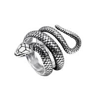 KUTCEK Punk Style Titanium Steel Snake Ring Vintage Bold Animal Pattern Ideal for Fashion Enthusiasts Jewelry Gift