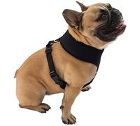 KUVIAS Dog Harness - Soft Breathable Mesh Dog Puppy Chest Harness Accessories w/Adjustable Strap & Easy Snap Buckle - For Walking Running Training, Sturdy & Durable All Day Wearing Comfort (Small)