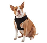KUVIAS Dog Harness - Soft Breathable Mesh Dog Puppy Chest Harness Accessories w/Adjustable Strap & Easy Snap Buckle - For Walking Running Training, Sturdy & Durable All Day Wearing Comfort (Large)