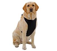 KUVIAS Dog Harness - Soft Breathable Mesh Dog Puppy Chest Harness Accessories w/Adjustable Strap & Easy Snap Buckle - For Walking Running Training, Sturdy & Durable All Day Wearing Comfort (Medium)