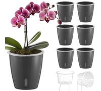 KvyusFlourish Self Watering Pots for Indoor Plants, 6-Pack 5'' Self Watering Planter with Drainage Holes, Small African Violet Pots with Water Indicator, Clear Wick Orchid Pot, Grey Gold