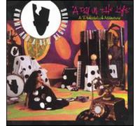 Kwame & a New Beginning - Day in the Life-a Pokadelick a