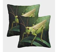 KWPGMDRY 2 Pack 3D Grasshopper Theme Square Cushion Cover Decoration Green Insect Pillow Cover Suitable for Home Sofa Bedroom Living Room 50x50cm