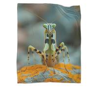 KWPGMDRY Praying Mantis Patterned Throw Warm Throw for Camping Outdoor Insect Lightweight Throw for Sofa Bed 40x50inch(100x130cm)
