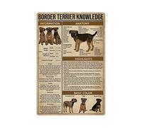 KWQDOZF Border Terrier Knowledge Metal Tin Signs Border Terrier Infographic Retro Posters Dog Science Guide Plaques Home Courtyard Club Farmhouse Wall Decor 12x16 Inches