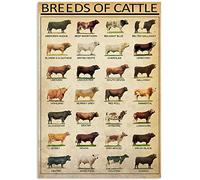 KWQDOZF Breeds Of Cattle Infographics Metal Tin Signs Cattle Knowledge Retro Posters Herders Guide Plaques Home Farmhouse Farm Wall Art Decor 12x18 Inches