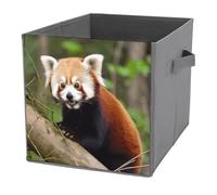 KWQDOZF Foldable Storage Cubes with Handles Little Red Panda Pattern Cube Bins for Organizing Clothes, Books - Storage Baskets for Shelves, Closets