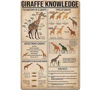 KWQDOZF Giraffe Knowledge Metal Tin Sign The Anatomy of A Giraffe Planing Infographic Poster Home Kitchen Farm School Club Cafe Home Wall Decoration Plaque 8x12 Inches