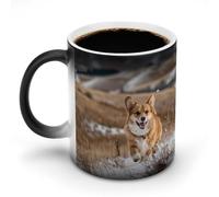 KWQDOZF Golden Corgi Dog Walks in Snow Funny Coffee Mug Cups Funny Color Changing Tea Cup for Men Women Birthday