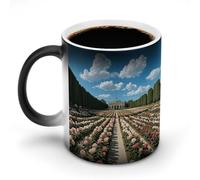 KWQDOZF Rose Garden Printed Heat Sensitive Coffee Mugs Morphing Color Changing Coffee Mug Full Image Revealed When HOT is Added