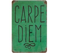 KWQDOZF Vintage Metal Signs Carpe Diem Inspirational Quote Retro Poster Typography Art Positive Motivational Quotes Kitchen Office Home Living Room Garage Man Cave Wall Decor Plaque 8"x12"