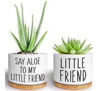 Kwtzkuo® 2 Pack- Say Aloe to My Little Friend - Funny Succulent Pots, Cute Small Ceramic Planter Pot with Drainage, Home & Office Succulent Aloe Planter