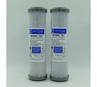 KX MATRIKX Pb1 10-Inch Length Extruded Carbon Block Filter Cartridge, 2-Pack