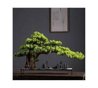 Kx9Lb8d imitation bonsai tree High-end Light Luxury Greenery Bonsai Ornaments Hotel Decoration Simulation Tree Entrance Coffee Table Fake