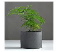 KXQYIKYI Creative Large Floral Personality Ikebana Home Accessories Ornaments Succulent Potted Plants Black Vase (Color : 23)