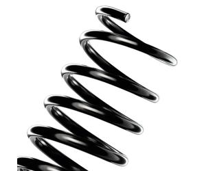 KYB RA4103 Coil Spring