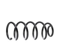 KYB RA5239 Coil spring