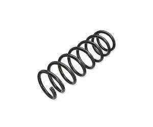 KYB RA5454 Coil spring