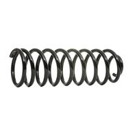 KYB RG5213 Coil spring