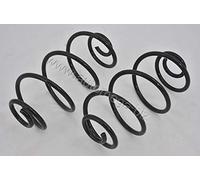 KYB RX5135 Coil spring