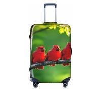 Kycvds Birch Trees The Trunk Lid Is Suitable For 18-32 Inch Luggage. Customized Trunk Lid Personalized Luggage., White, Large