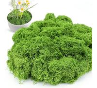 KYEDGC 100g Artificial Moss Fake Moss, Natural Dark Green Faux Moss, Artificial Moss for Indoor Plant Pots, Moss for Crafts, Green Moss for Garden Office Christmas New Year Home Decoration