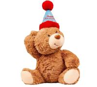 KYEDGC Teddy Bear, Birthday Teddy with Ultra-Soft Plush, 30cm Cuddly Companion for Birthdays, Valentine’s Day, Anniversaries, for Kids and Adults