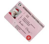 KYEQATY Santa Claus Flying License Christmas Lost Flying Driving Licence Christmas Decorations for Xmas Ornament Style4