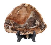 KYEYGWO Irregular Petrified Wood Slab Fossil Collection for Desk Table Decor, Natural Crystal Mineral Specimen with Wooden Display Stand