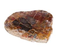 KYEYGWO Irregular Polished Petrified Wood Slab Fossil Mineral Specimen, Natural Stone Coasters for Coffee Table Desk