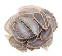 KYEYGWO Top Drilled Irregular Agate Quartz Slice Pendant Jewelry Charms for Jewelry Making, Pack of 10