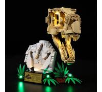 Kyglaring LED Lighting Kit Compatible with Lego Dinosaur Fossils: T. rex Skull 76964 Building Blocks, Lighting Accessories for Lego 76964 Model Set (Not Model)