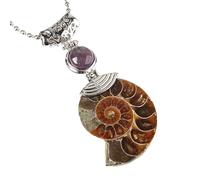 KYINYUECH 1pc Natural Ammonite Pendant Snail Shell Necklace Conch Purple For Women Men