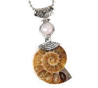 KYINYUECH 1pc Natural Ammonite Pendant Snail Shell Necklace Conch Purple For Women Men