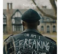 Dixon, Kyle / Stein, Michael - Native Son (original Motion Picture Score) [VINYL]