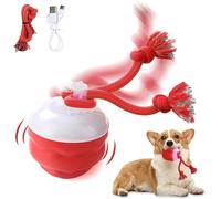 kyno 2026 New Interactive Dog Toys Touch Activated Bouncing & Jumping Dog Ball with Rope, Chase Buddy Dog Toy, Squeaky Doggie Toys to Keep Them Busy, USB Rechargeable (red)
