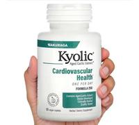Kyolic Aged Garlic Extract Cardiovascular Health One Per Day, Formula250, 60Caps