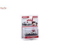 KYOSHO KS07009B4 1:64 BLISTER PACK EDITION CIRCUIT WOLF NISSAN FAIRLADY Z 432R