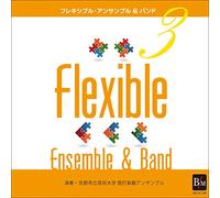 Kyoto City Universit - Flexible Ensemble & Band 3