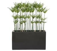 Kyoto Paapyrus Artificial Plant Tanaman