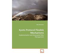 Kyoto Protocol Flexible Mechanisms: Implementation and Associated Risks Management