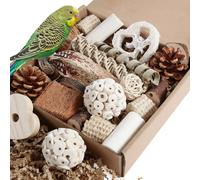 Kyouki Bird Toys Parrot Toys Natural Bird Foraging Box Foot Toys for Parakeets,Cockatiels,Conures,Love Birds,and Other Small to Medium Birds (Medium)