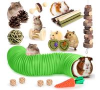 Kyouki Hamster Toys Guinea Pig Toys Set with Tunnel, Chewable Apple Wood & Natural Timothy Hay - Enrichment Chew Toys for Small Animals - 24+ Cage Accessories for Teeth Care & Boredom Relief (Green)